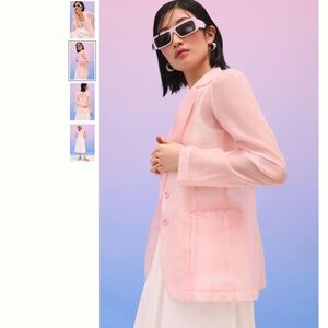 Anthropologie DOLAN Sheer Blazer